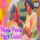 Neela Peela Hara Gulabi Poster