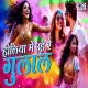 Holiya Mein Ude Re Gulal   Carnival Mix Poster